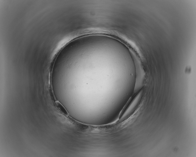 X0000090891365200708171657