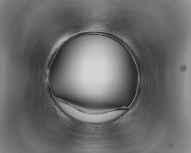 X0000090891366200708171657