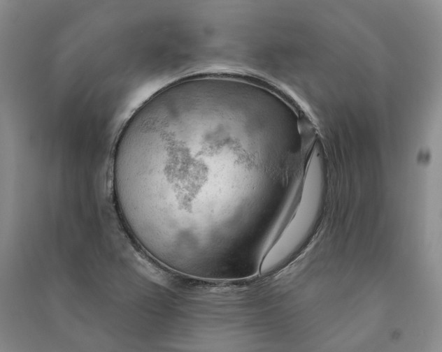 X0000090891367200708171657