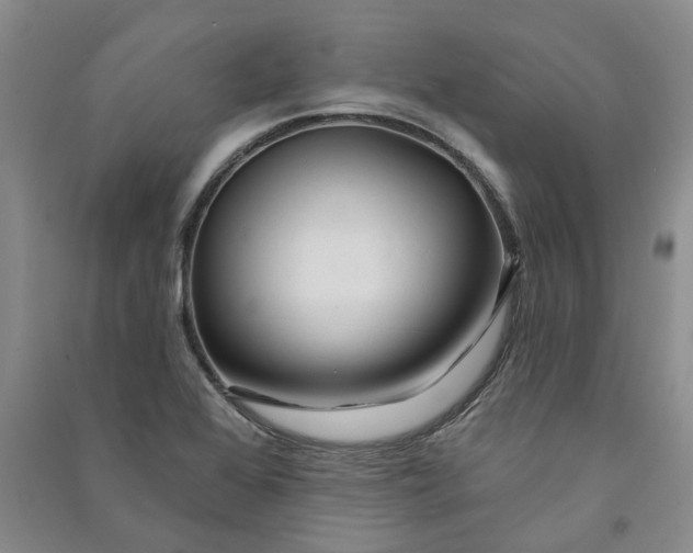 X0000090891368200708171657