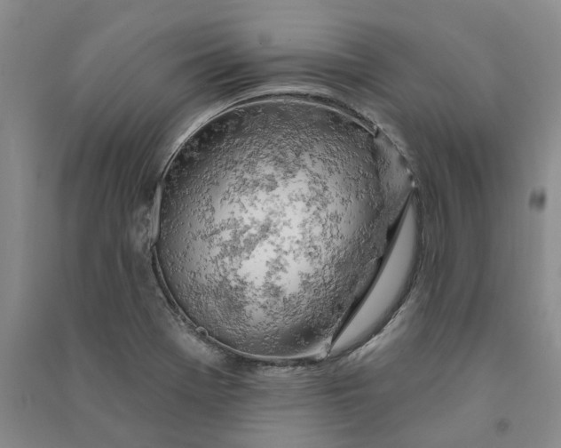 X0000090891369200708171657