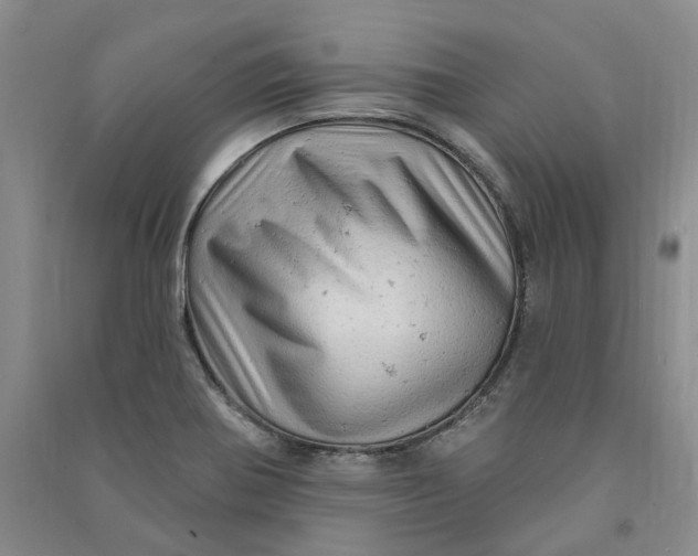 X0000090891370200708171657