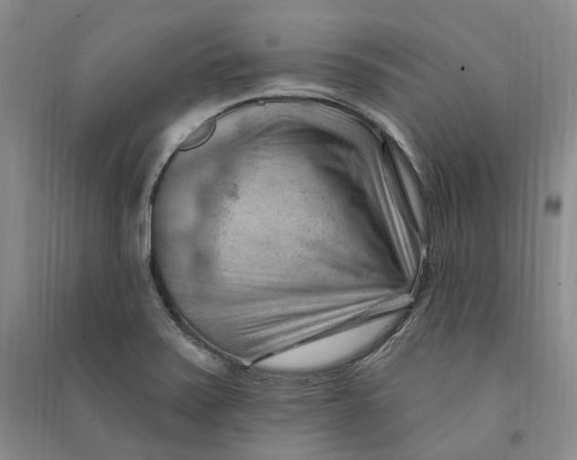 X0000090891371200708171657