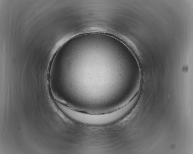 X0000090891373200708171657