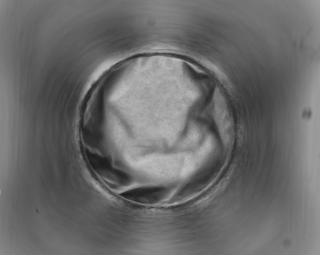 X0000090891374200708171657