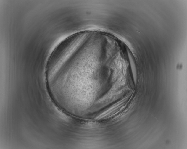 X0000090891375200708171657