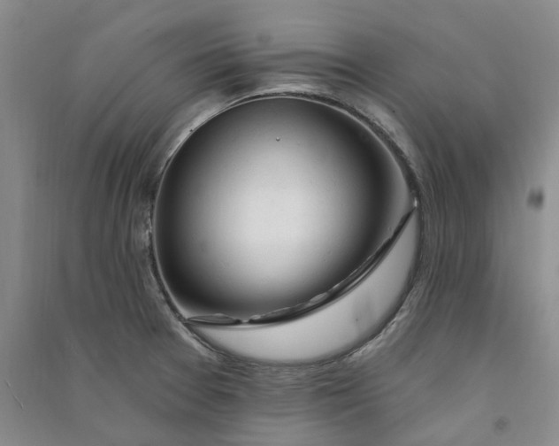 X0000090891377200708171657