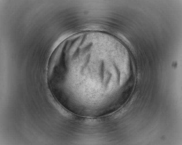 X0000090891378200708171657