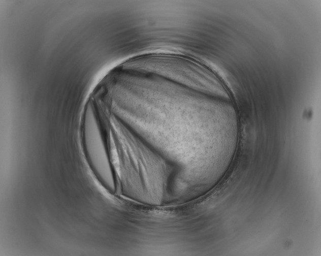 X0000090891379200708171657