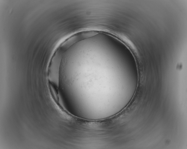 X0000090891380200708171657