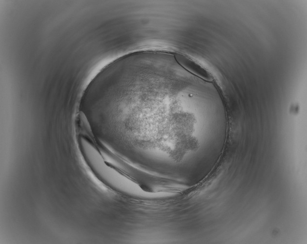 X0000090891383200708171657