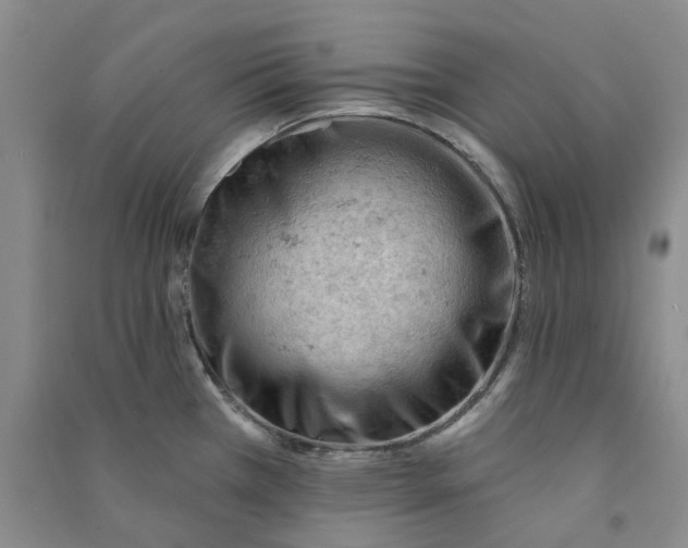 X0000090891385200708171657