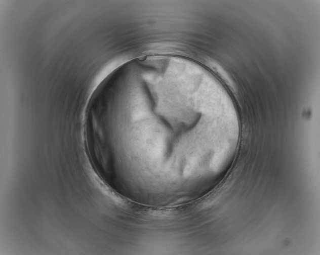 X0000090891386200708171657