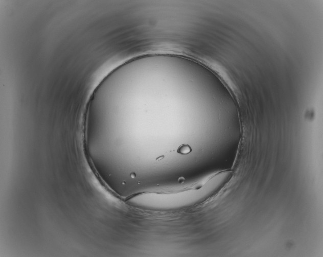 X0000090891387200708171657