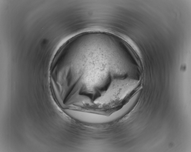 X0000090891388200708171657