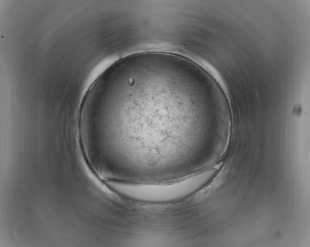 X0000090891389200708171657