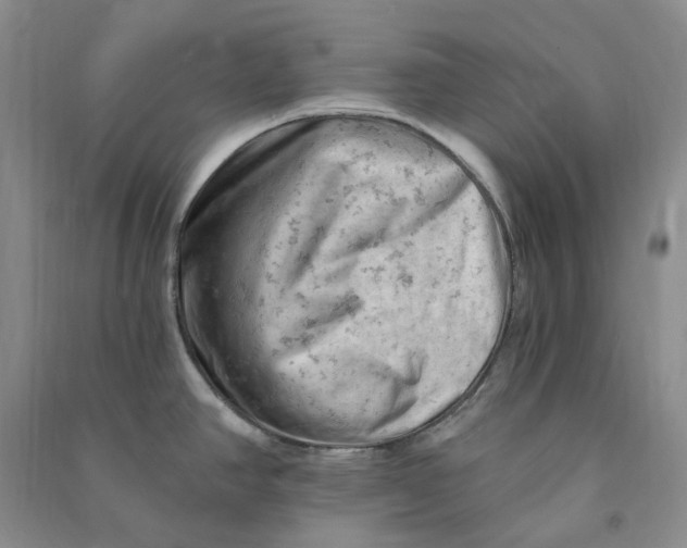 X0000090891390200708171657