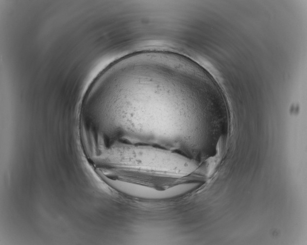 X0000090891392200708171657