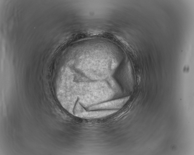 X0000090891393200708171656