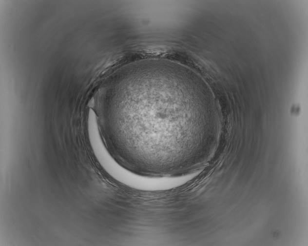 X0000090891394200708171656