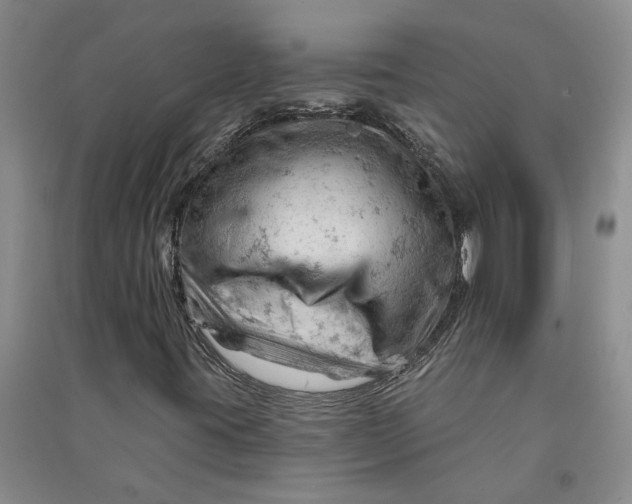 X0000090891395200708171656