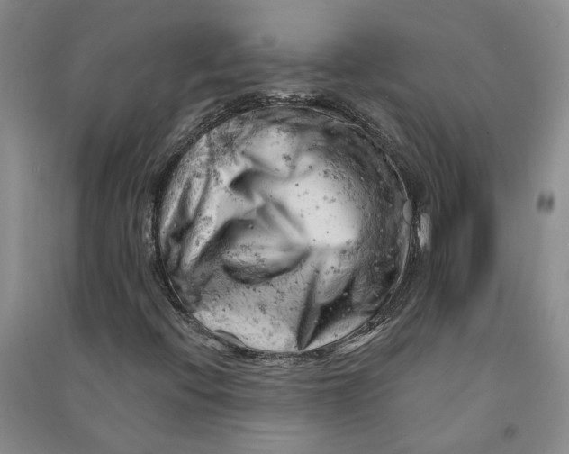 X0000090891396200708171656