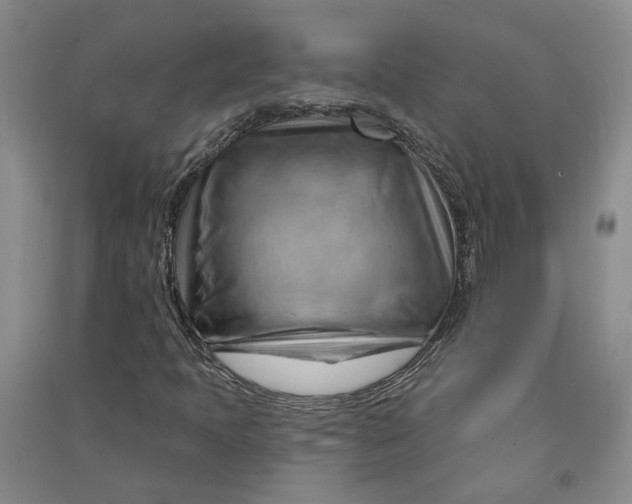 X0000090891397200708171656