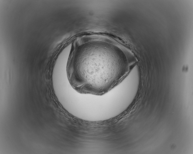 X0000090891398200708171656