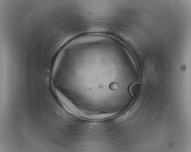 X0000090891401200708171656