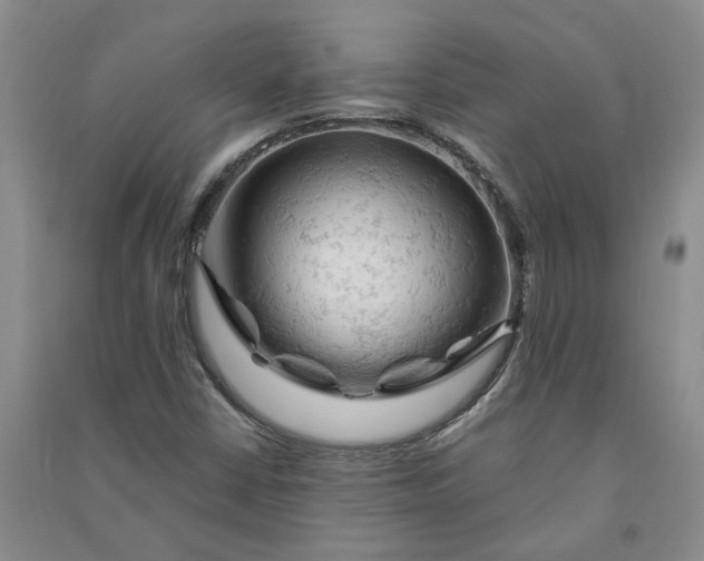 X0000090891402200708171656