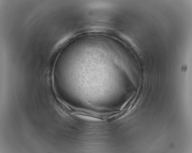 X0000090891403200708171656