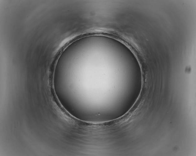 X0000090891404200708171656