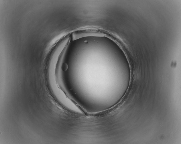 X0000090891406200708171656