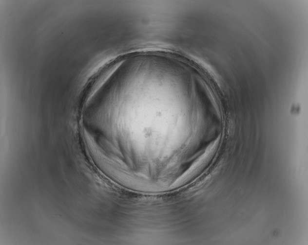 X0000090891407200708171656