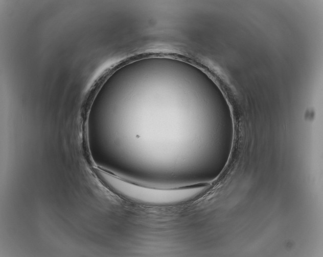 X0000090891408200708171656