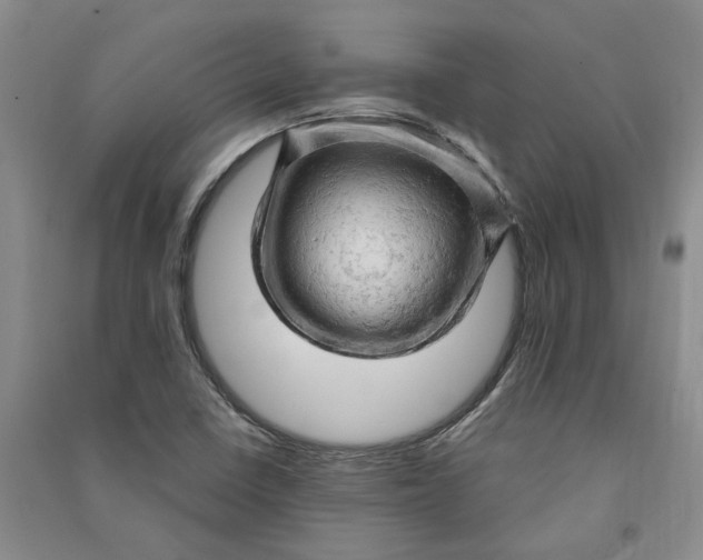 X0000090891410200708171656