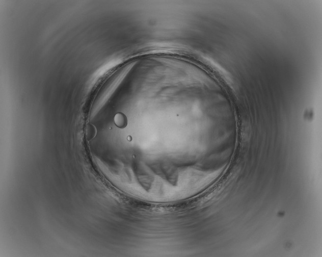 X0000090891411200708171656