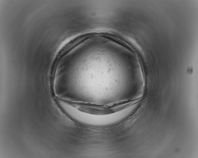 X0000090891412200708171656