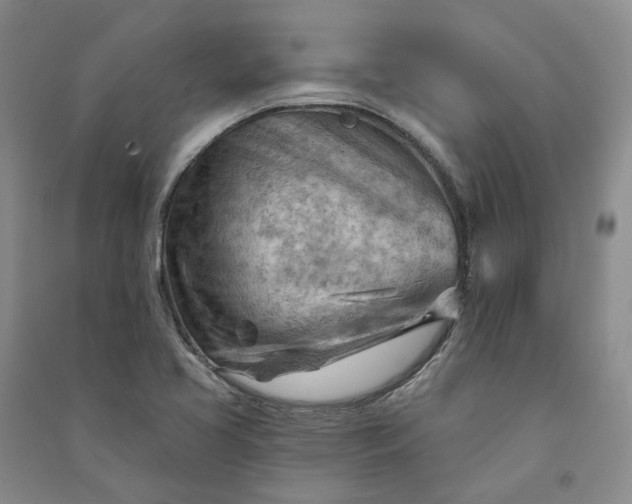 X0000090891413200708171656