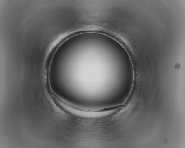 X0000090891414200708171656