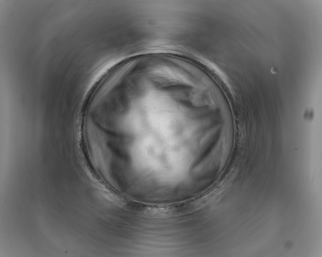 X0000090891415200708171656