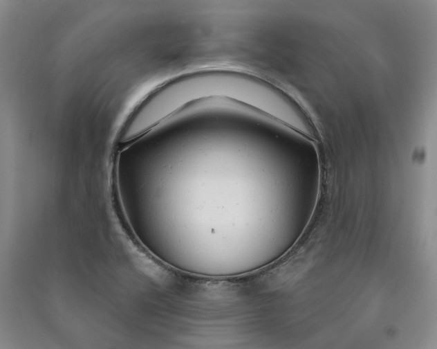 X0000090891416200708171656