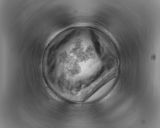 X0000090891417200708171656