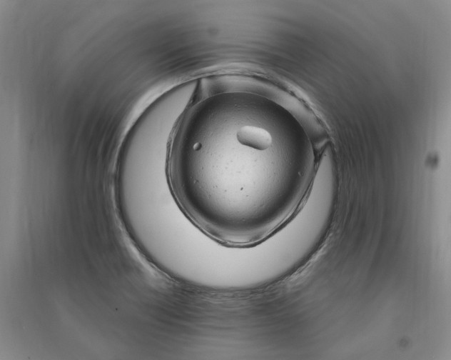 X0000090891418200708171656