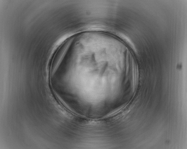 X0000090891419200708171656