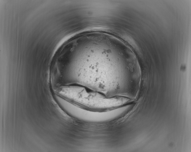 X0000090891420200708171656