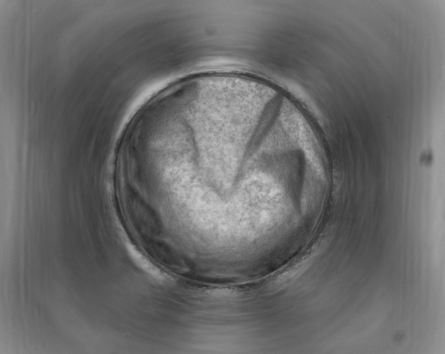 X0000090891421200708171656