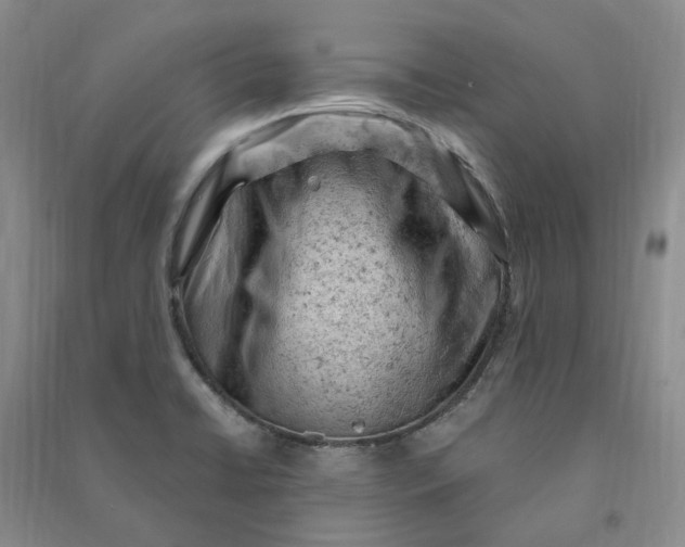 X0000090891422200708171656