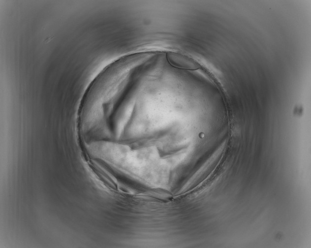 X0000090891423200708171656