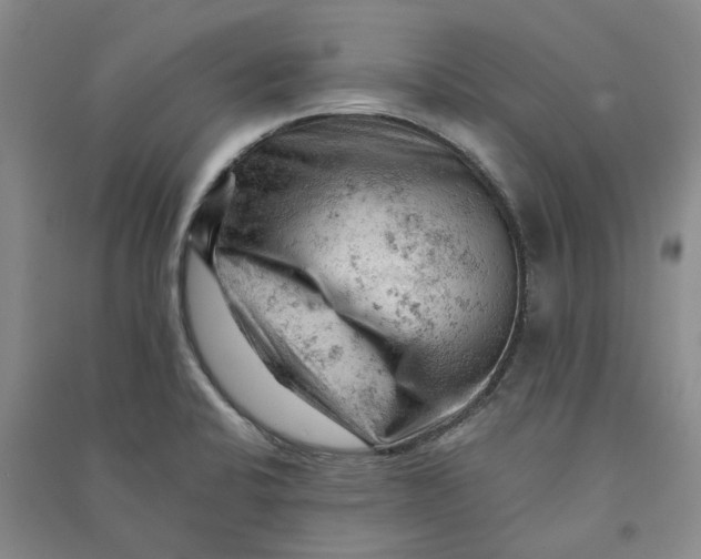 X0000090891424200708171656